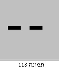 איור לשאלה 61 (תמונה 118)
